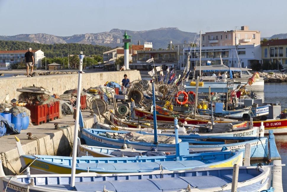 Studio Romy Les Pieds Dans L'Eau 10 M De La Mer لا سين سور مير المظهر الخارجي الصورة
