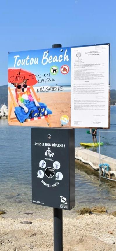 Studio Romy Les Pieds Dans L'Eau 10 M De La Mer لا سين سور مير المظهر الخارجي الصورة